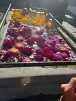 住吉神社の手水舎