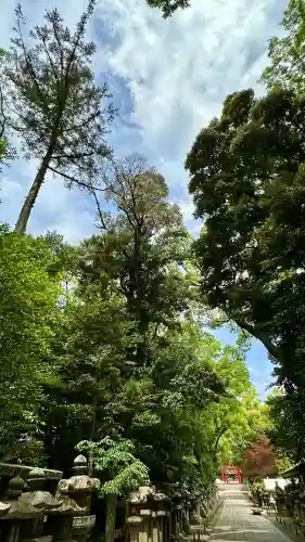 石清水八幡宮(京都府)