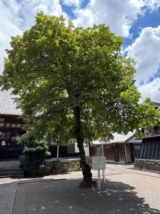 西明寺(愛知県)