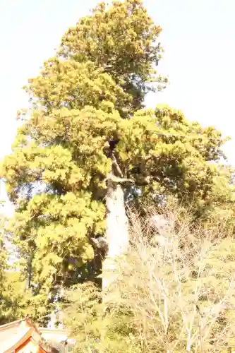 香取神宮(千葉県)