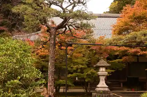 高徳庵　(最勝院）(京都府)