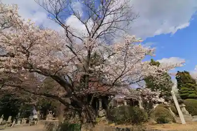 十念寺の末社・摂社