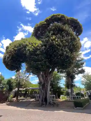 真乗院(埼玉県)