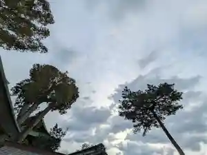 三津厳島神社(愛媛県)(2026年02月07日(土) 10時10分56秒投稿)