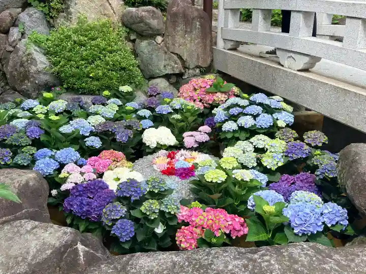 岡寺(龍蓋寺)(奈良県)