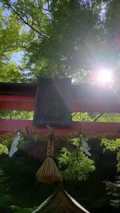 岩戸落葉神社の{uncategorized: "未分類", other: "その他", undefined: "問題あり", building: "その他建物", grave: "お墓", sacred_gate: "鳥居", guardian: "狛犬", statue: "像", buddha: "仏像", history: "歴史", nature: "自然", garden: "庭園", animal: "動物", pagoda: "塔", temizu: "手水舎", mountain_gate: "山門・神門", sanctuary: "本殿・本堂", subordinate: "末社・摂社", art: "芸術", scenery: "景色", jizo: "地蔵", ema: "絵馬", goshuin: "御朱印", omikuji: "おみくじ", items: "授与品その他", amulet: "お守り", goshuincho: "御朱印帳", eats: "食事", festival: "お祭り", votive_dance: "神楽", shichigosan: "七五三参", wedding: "結婚式", experience: "体験その他", initially: "初詣", around: "周辺", anti_infection: "感染症対策"}