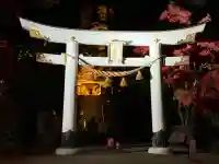 宝登山神社(埼玉県)