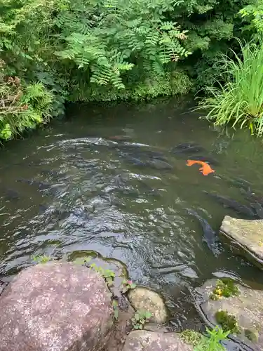 大聖寺（土浦大師不動尊）の庭園