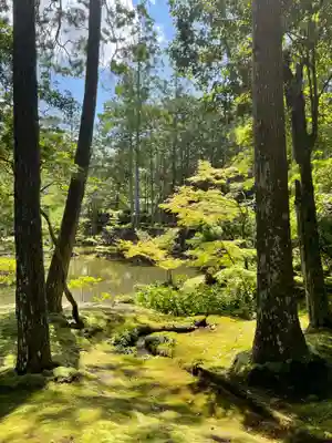西芳寺(京都府)