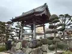 光圓寺(神奈川県)