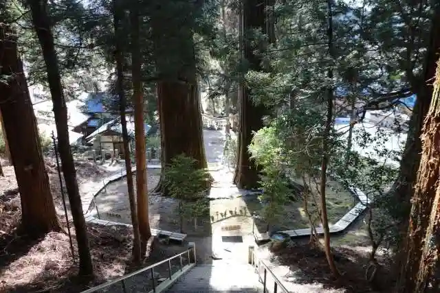 夏井諏訪神社の自然