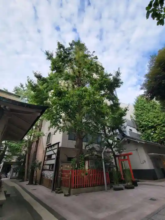 銀杏岡八幡神社の自然