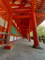 八雷神社(八龍神社)の{uncategorized: "未分類", other: "その他", undefined: "問題あり", building: "その他建物", grave: "お墓", sacred_gate: "鳥居", guardian: "狛犬", statue: "像", buddha: "仏像", history: "歴史", nature: "自然", garden: "庭園", animal: "動物", pagoda: "塔", temizu: "手水舎", mountain_gate: "山門・神門", sanctuary: "本殿・本堂", subordinate: "末社・摂社", art: "芸術", scenery: "景色", jizo: "地蔵", ema: "絵馬", goshuin: "御朱印", omikuji: "おみくじ", items: "授与品その他", amulet: "お守り", goshuincho: "御朱印帳", eats: "食事", festival: "お祭り", votive_dance: "神楽", shichigosan: "七五三参", wedding: "結婚式", experience: "体験その他", initially: "初詣", around: "周辺", anti_infection: "感染症対策"}