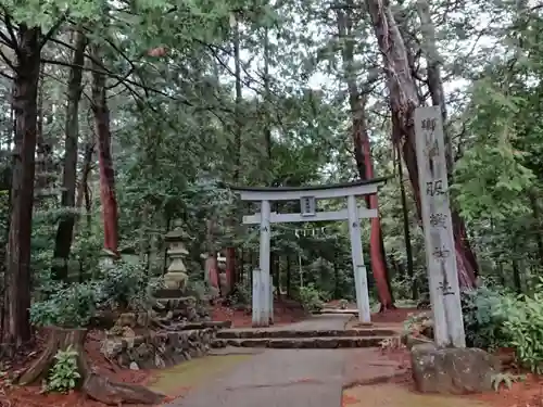 服織神社の鳥居