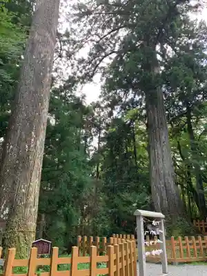須山浅間神社のその他建物