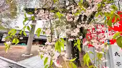 楯縫神社(兵庫県)