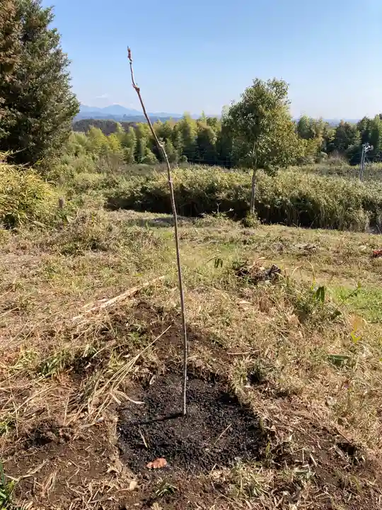 高平山遍照寺の自然