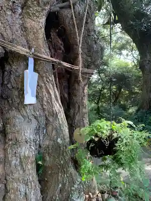 椎尾山薬王院(茨城県)