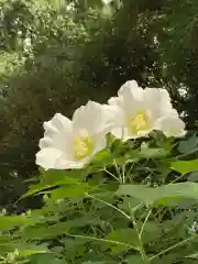 若狭神宮寺(福井県)