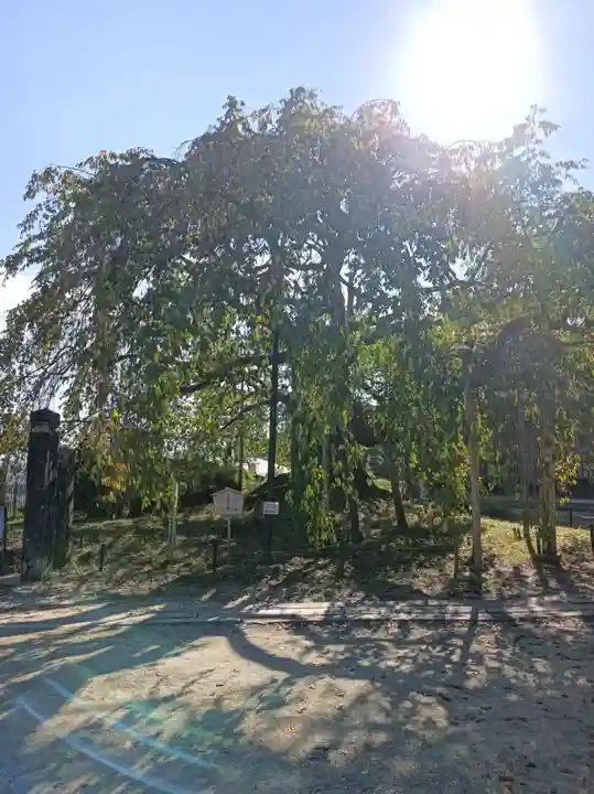 座光如来寺(元善光寺)(長野県)