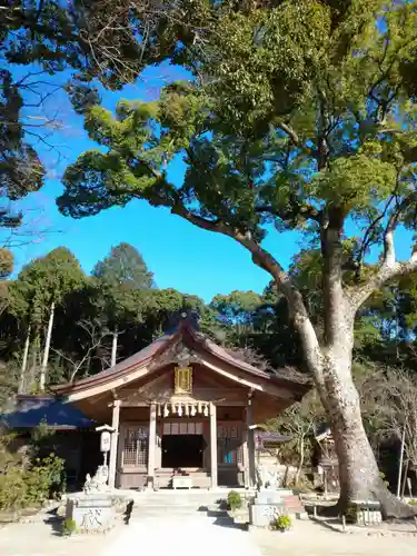 宝満宮竈門神社の本殿