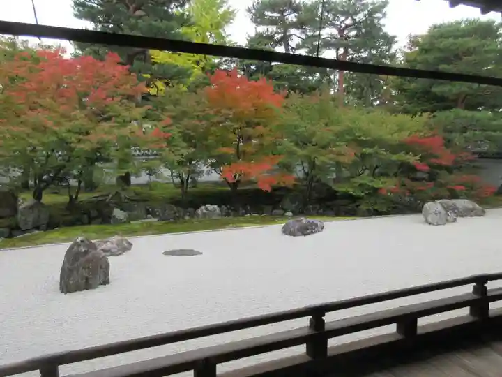 相国寺(相国承天禅寺)の庭園