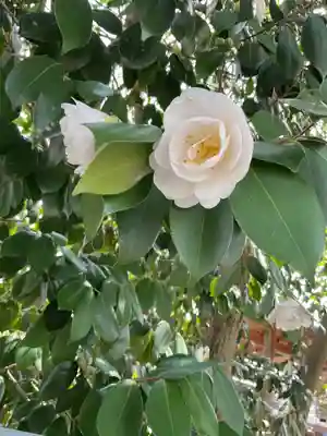 新羅神社の庭園