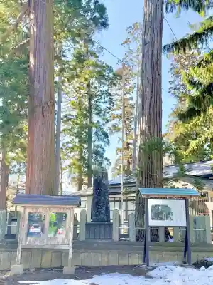 八坂神社の{uncategorized: "未分類", other: "その他", undefined: "問題あり", building: "その他建物", grave: "お墓", sacred_gate: "鳥居", guardian: "狛犬", statue: "像", buddha: "仏像", history: "歴史", nature: "自然", garden: "庭園", animal: "動物", pagoda: "塔", temizu: "手水舎", mountain_gate: "山門・神門", sanctuary: "本殿・本堂", subordinate: "末社・摂社", art: "芸術", scenery: "景色", jizo: "地蔵", ema: "絵馬", goshuin: "御朱印", omikuji: "おみくじ", items: "授与品その他", amulet: "お守り", goshuincho: "御朱印帳", eats: "食事", festival: "お祭り", votive_dance: "神楽", shichigosan: "七五三参", wedding: "結婚式", experience: "体験その他", initially: "初詣", around: "周辺", anti_infection: "感染症対策"}