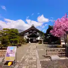 妙顯寺（妙顕寺）(京都府)