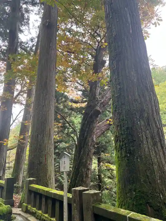 榛名神社(群馬県)