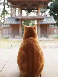 天王山 安楽寺(福井県)(2023年12月07日(木) 05時34分06秒投稿)