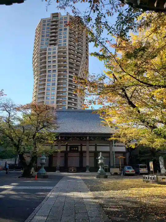 善福寺の本殿・本堂