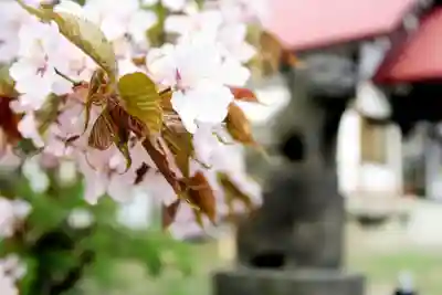 江部乙神社(北海道)