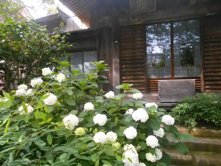 極楽寺(霊鷲山感應院極楽律寺)の庭園