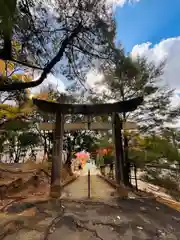 紅葉八幡宮(福岡県)