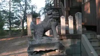 白髭神社の狛犬