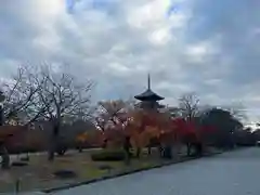 東寺（教王護国寺）(京都府)