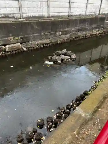 磐井神社の{uncategorized: "未分類", other: "その他", undefined: "問題あり", building: "その他建物", grave: "お墓", sacred_gate: "鳥居", guardian: "狛犬", statue: "像", buddha: "仏像", history: "歴史", nature: "自然", garden: "庭園", animal: "動物", pagoda: "塔", temizu: "手水舎", mountain_gate: "山門・神門", sanctuary: "本殿・本堂", subordinate: "末社・摂社", art: "芸術", scenery: "景色", jizo: "地蔵", ema: "絵馬", goshuin: "御朱印", omikuji: "おみくじ", items: "授与品その他", amulet: "お守り", goshuincho: "御朱印帳", eats: "食事", festival: "お祭り", votive_dance: "神楽", shichigosan: "七五三参", wedding: "結婚式", experience: "体験その他", initially: "初詣", around: "周辺", anti_infection: "感染症対策"}