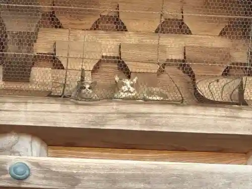 豪徳寺(東京都)