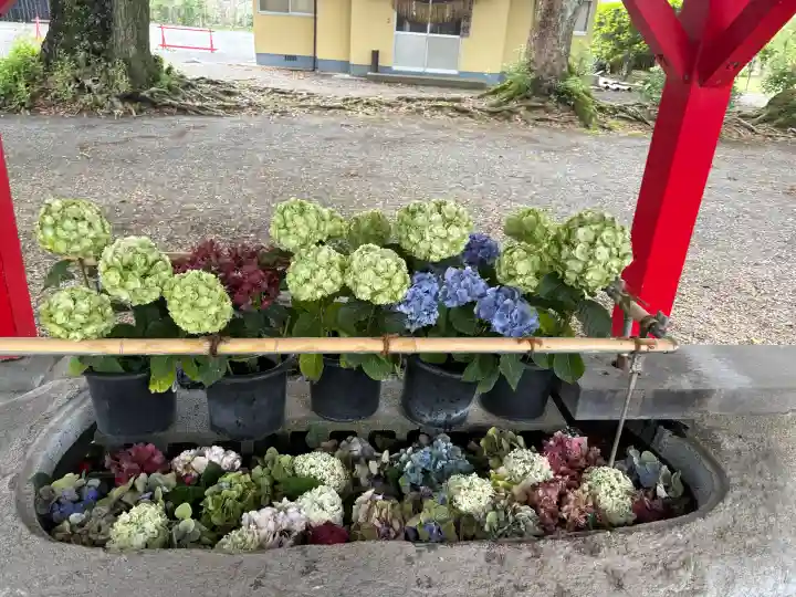美奈宜神社(福岡県)