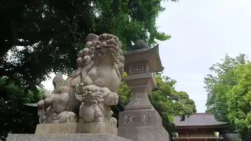 八幡大神社の狛犬