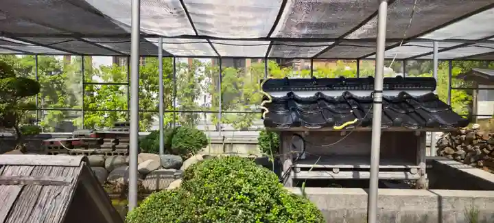 岩国白蛇神社(山口県)