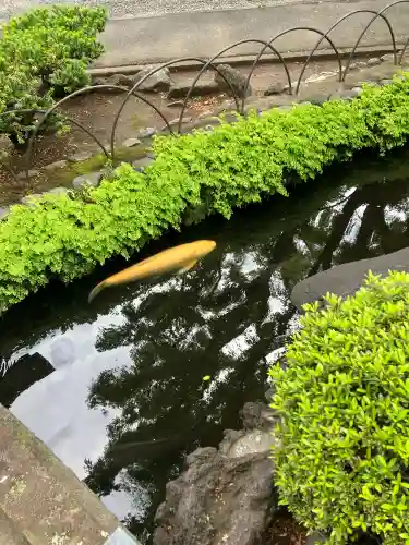 天祖諏訪神社の{uncategorized: "未分類", other: "その他", undefined: "問題あり", building: "その他建物", grave: "お墓", sacred_gate: "鳥居", guardian: "狛犬", statue: "像", buddha: "仏像", history: "歴史", nature: "自然", garden: "庭園", animal: "動物", pagoda: "塔", temizu: "手水舎", mountain_gate: "山門・神門", sanctuary: "本殿・本堂", subordinate: "末社・摂社", art: "芸術", scenery: "景色", jizo: "地蔵", ema: "絵馬", goshuin: "御朱印", omikuji: "おみくじ", items: "授与品その他", amulet: "お守り", goshuincho: "御朱印帳", eats: "食事", festival: "お祭り", votive_dance: "神楽", shichigosan: "七五三参", wedding: "結婚式", experience: "体験その他", initially: "初詣", around: "周辺", anti_infection: "感染症対策"}
