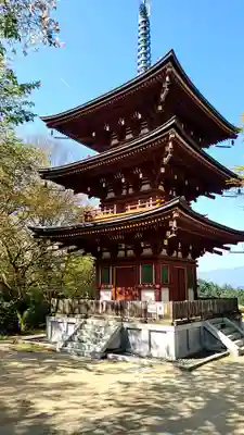 岡寺(龍蓋寺)(奈良県)