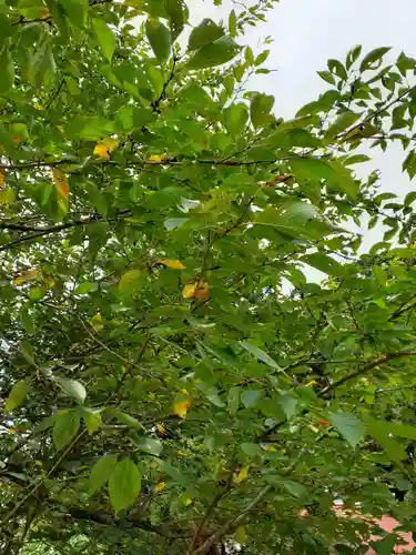 熊野神社(岩手県)
