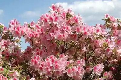 五大尊堂(長徳寺)の自然