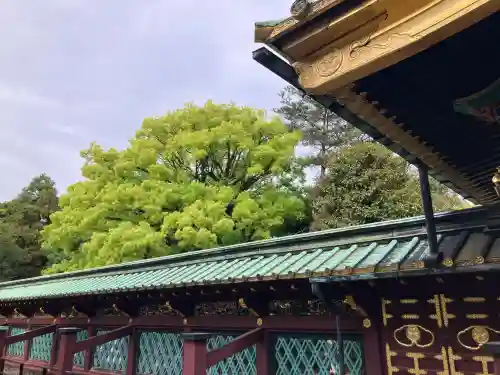 上野東照宮の{uncategorized: "未分類", other: "その他", undefined: "問題あり", building: "その他建物", grave: "お墓", sacred_gate: "鳥居", guardian: "狛犬", statue: "像", buddha: "仏像", history: "歴史", nature: "自然", garden: "庭園", animal: "動物", pagoda: "塔", temizu: "手水舎", mountain_gate: "山門・神門", sanctuary: "本殿・本堂", subordinate: "末社・摂社", art: "芸術", scenery: "景色", jizo: "地蔵", ema: "絵馬", goshuin: "御朱印", omikuji: "おみくじ", items: "授与品その他", amulet: "お守り", goshuincho: "御朱印帳", eats: "食事", festival: "お祭り", votive_dance: "神楽", shichigosan: "七五三参", wedding: "結婚式", experience: "体験その他", initially: "初詣", around: "周辺", anti_infection: "感染症対策"}