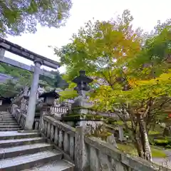 古峯神社の自然