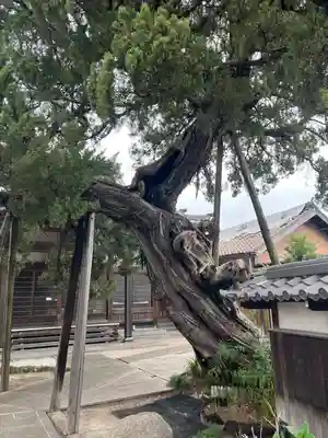 光明寺(愛知県)