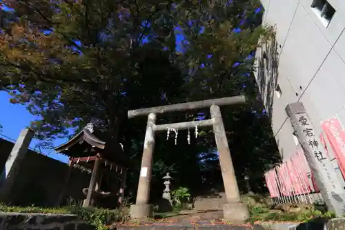 愛宕神社の鳥居